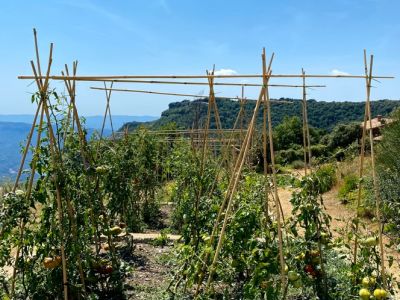 hotel l avenc katalonien natur eigene lebensmittel